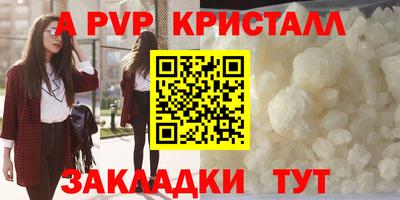 бошки Кимры