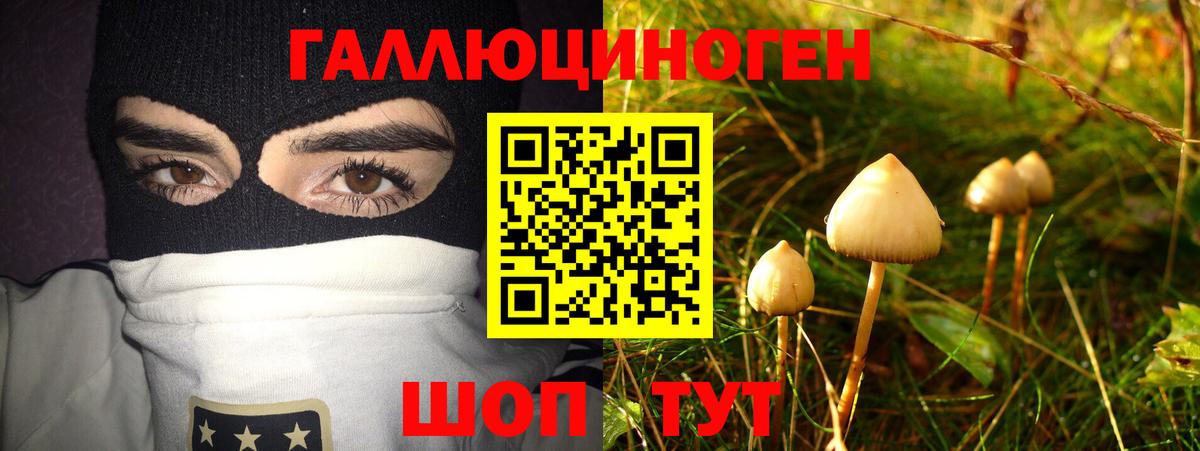 наркота  Псилоцибиновые грибы ЛСД  Вход с VPN  Псилоцибиновые грибы Psilocybe  Невинномысск 